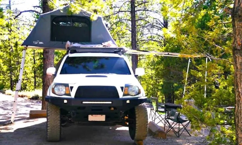 Are Roof Top Tents Safe from Bears? Exploring Camping Safety