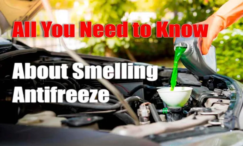 does antifreeze have a smell