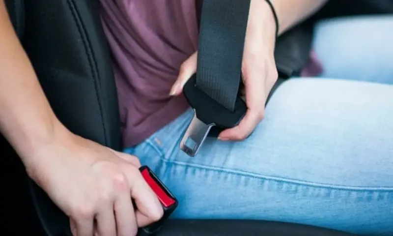 Does a Seatbelt Ticket Affect Insurance Rates? Find Out Here