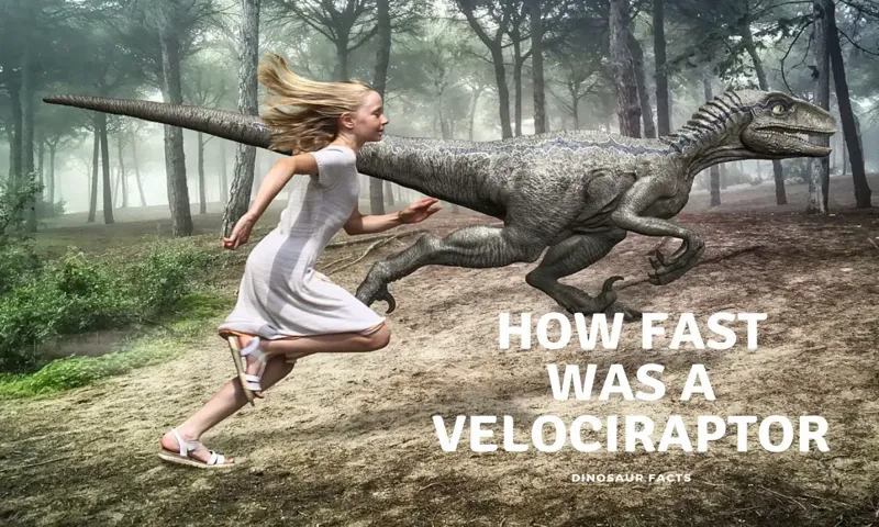 How Fast is a Raptor: A Comprehensive Guide to Their Impressive Speeds