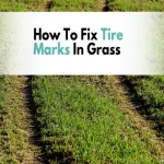 How Much Does It Cost to Fix Tire Marks in Grass? A Complete Guide.