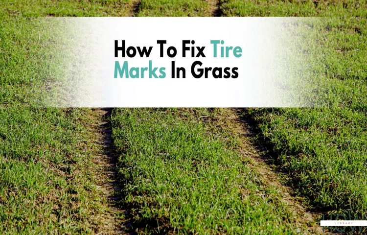 How Much Does It Cost to Fix Tire Marks in Grass? A Complete Guide.