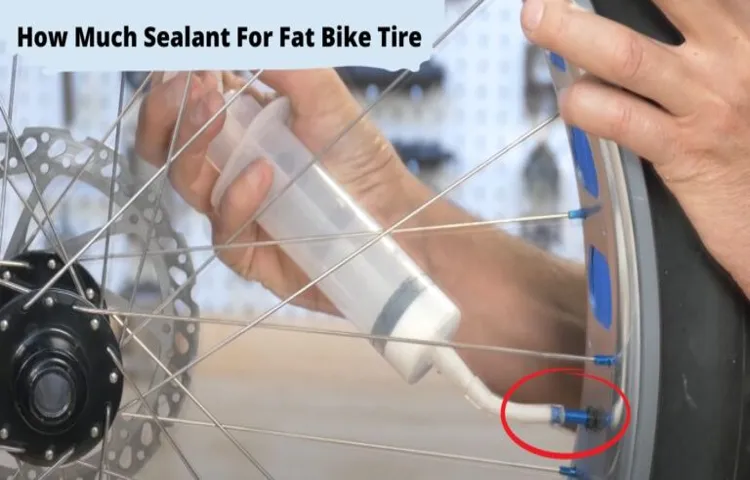 How Much Sealant for Fat Bike Tire: A Comprehensive Guide