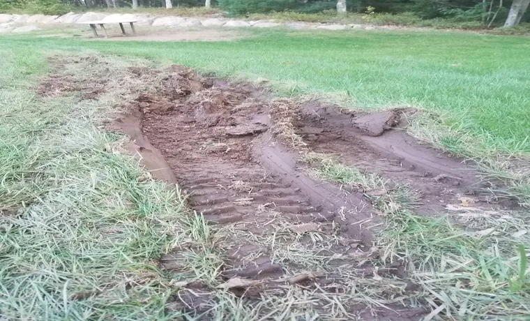 How to Fix Tire Marks in Grass: A Step-by-Step Guide for a Lush Lawn