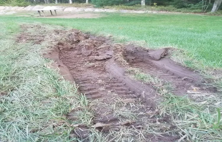 how to fix tire ruts in lawn