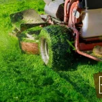 How to Fix Tire Ruts in Lawn: Step-by-Step Guide for a Beautiful Yard