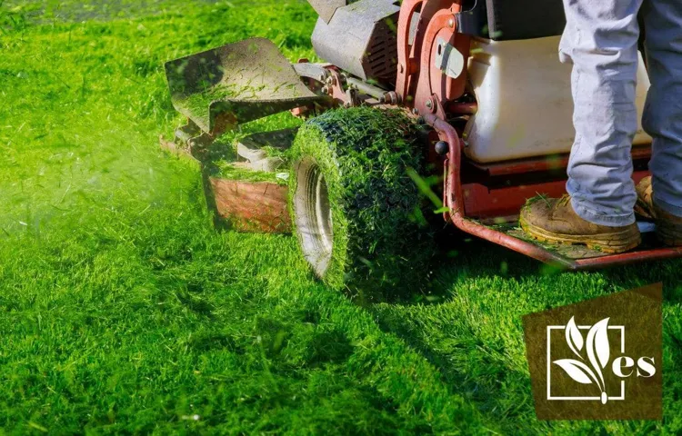 How to Fix Tire Ruts in Lawn: Step-by-Step Guide for a Beautiful Yard