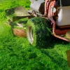 How to Fix Tire Tracks in Lawn: Easy Solutions for a Beautiful Landscape