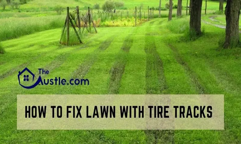 How to Fix Tire Tracks in Yard: Simple and Effective Solutions