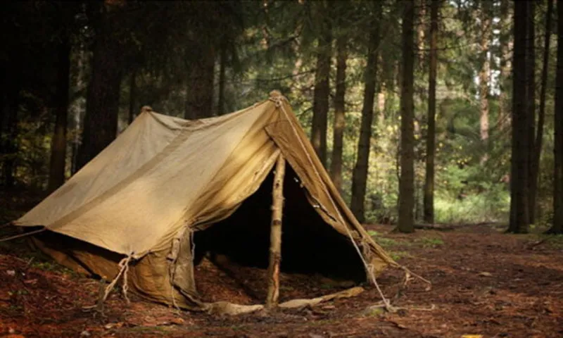 How to Remove Mold from Roof Top Tent: A Complete Guide