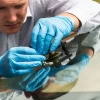 How to Repair a Windshield: A Step-by-Step Guide