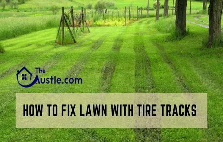 how to repair tire tracks in lawn