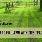 How to Repair Tire Tracks in Lawn: Easy Tips and Tricks to Bring Your Lawn Back to Life