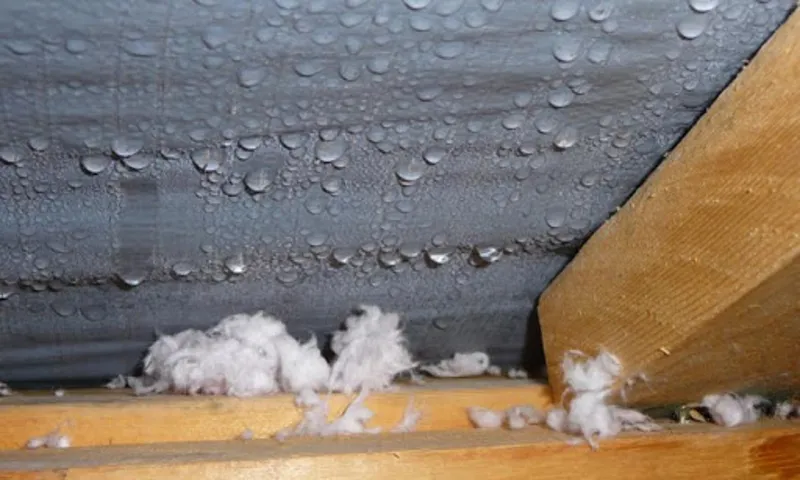 How to Stop Condensation in Roof Top Tent: Brilliant Tips and Tricks