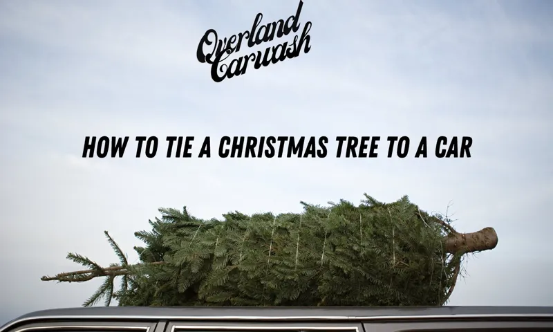 how to tie christmas tree to car