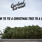 How to Tie Christmas Tree to Car: Tips and Tricks for Safe and Secure Transport