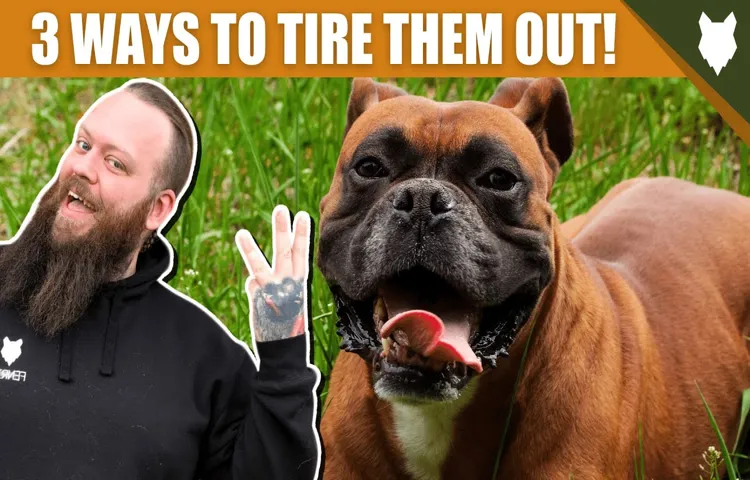 How to Tire Out a Boxer Dog: Top 10 Fun Activities to Keep Your Furry Friend Active