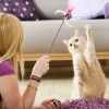 How to Tire Your Cat Out: Top 10 Fun and Interactive Ways to Keep Your Feline Active