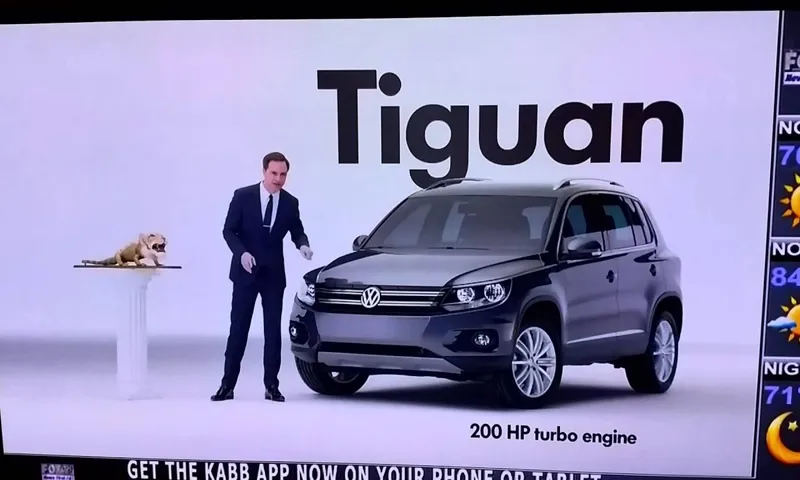 What is a Tiguan Animal? Discover the Fascinating World of this Mysterious Creature