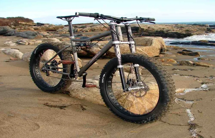 what is the point of fat tire bikes