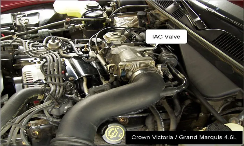 where is the iac valve located