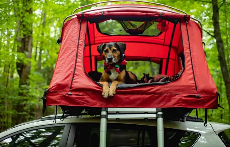 Why Roof Top Tents Are the Ultimate Camping Solution