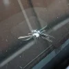 How to Repair Chips in Windshield: A Step-by-Step Guide