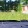 When is a windshield crack too big to repair? Expert advice